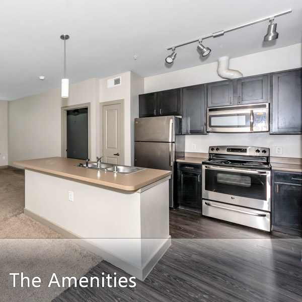 Features & Amenities